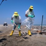 Dirty Work: Hispanic Immigrants Clean the Gulf