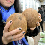 More Than One Way to Crack a Coconut: Making Puerto Rican Tembleque