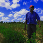 For African Cooks One New Jersey Farmer Has What They Need